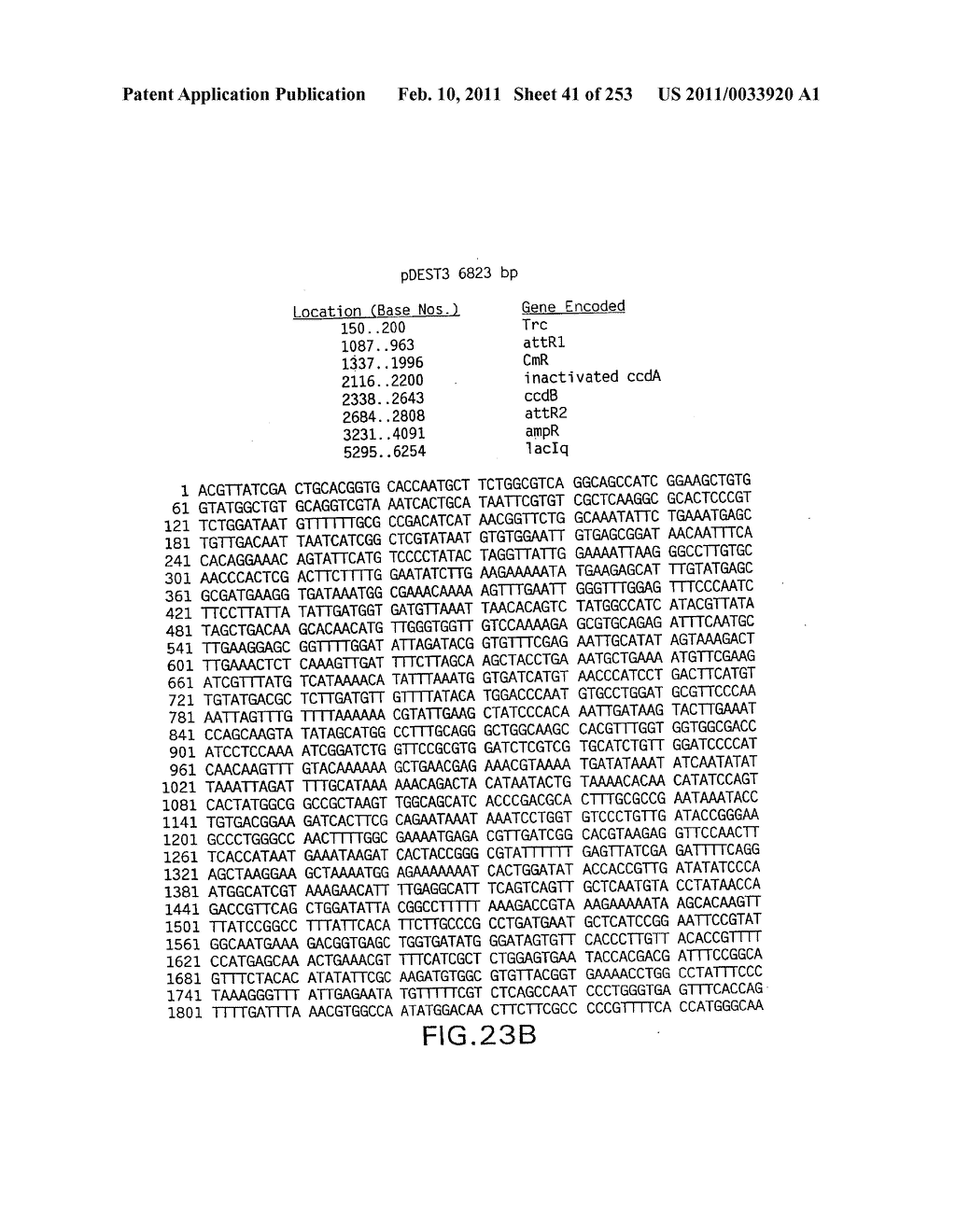 COMPOSITIONS AND METHODS FOR USE IN RECOMBINATIONAL CLONING OF NUCELIC ACIDS - diagram, schematic, and image 42