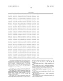 BARDET-BIEDL SUSCEPTIBILITY GENE AND USES THEREOF diagram and image