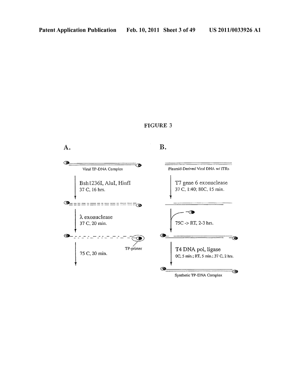 Production Of Viral Vectors - diagram, schematic, and image 04