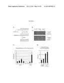 Production Of Viral Vectors diagram and image