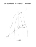 SURF PERCH diagram and image