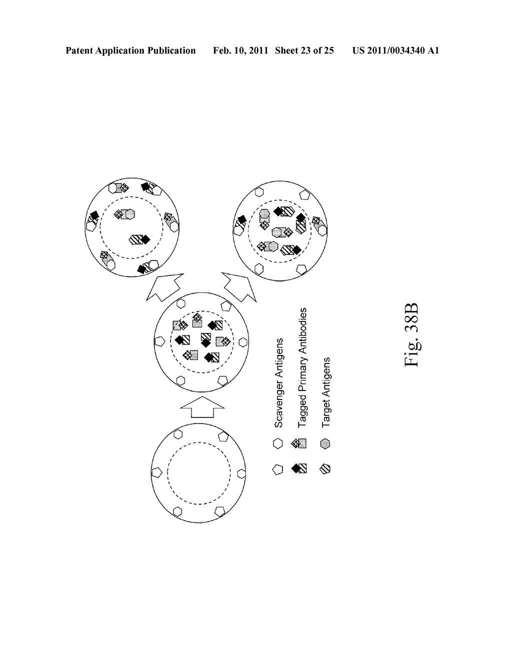 Systems and Methods for Immunosorbent Assays for Single and Multiple Analytes - diagram, schematic, and image 24