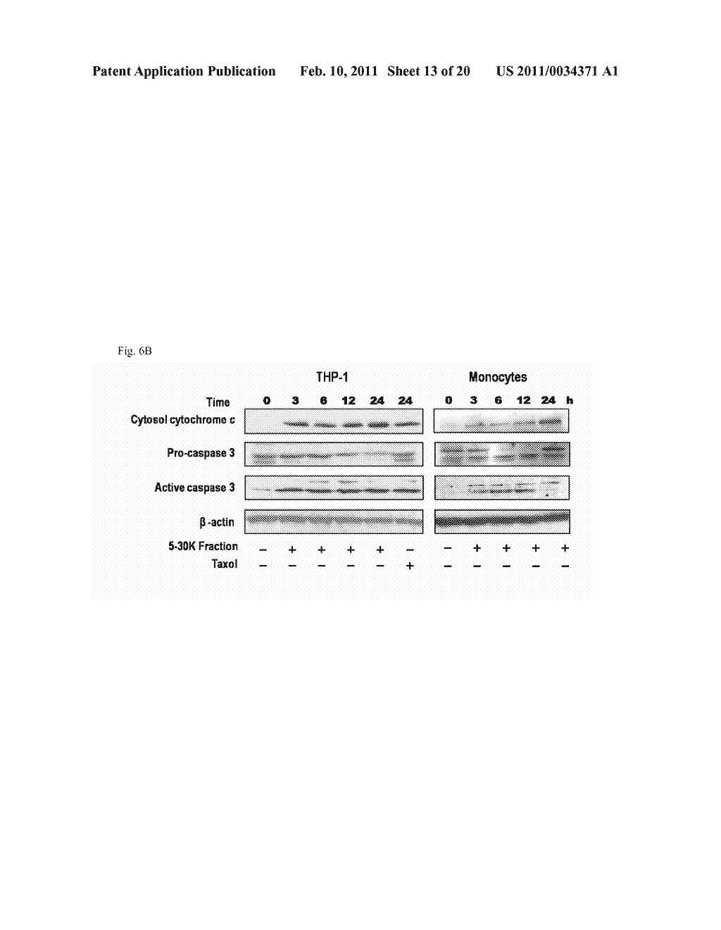 L. CASEI RHAMNOSUS SECRETED FACTORS AND USE THEREOF - diagram, schematic, and image 14