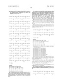 USE OF AN FGF-21 COMPOUND AND A GLP-1 COMPOUND FOR THE TREATMENT OF OBESITY diagram and image