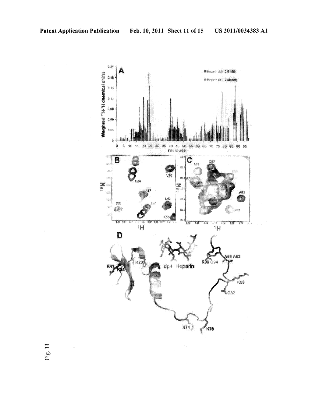 CXCL12 GAMMA A CHEMOKINE AND USES THEREOF - diagram, schematic, and image 12