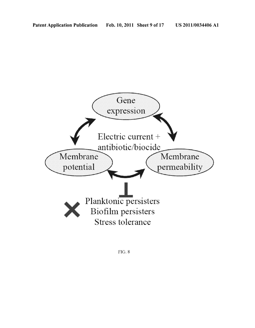 System And Method For Controlling Bacterial Persister Cells With Weak Electric Currents - diagram, schematic, and image 10