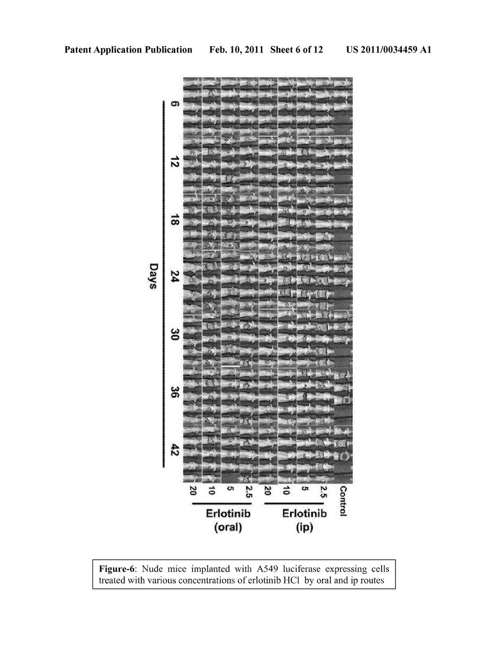 6,7-DIALKOXY QUINAZOLINE DERIVATIVES AND METHODS OF TREATING DRUG RESISTANT AND OTHER TUMORS - diagram, schematic, and image 07