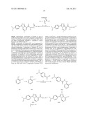 TRIAZOLO COMPOUNDS USEFUL AS DGAT1 INHIBITORS diagram and image