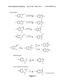 5-Lipoxygenase-Activating Protein (FLAP) Inhibitors diagram and image