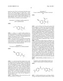 INDOLE MODULATORS OF THE ALPHA 7 NICOTINIC ACETYLCHOLINE RECEPTOR diagram and image