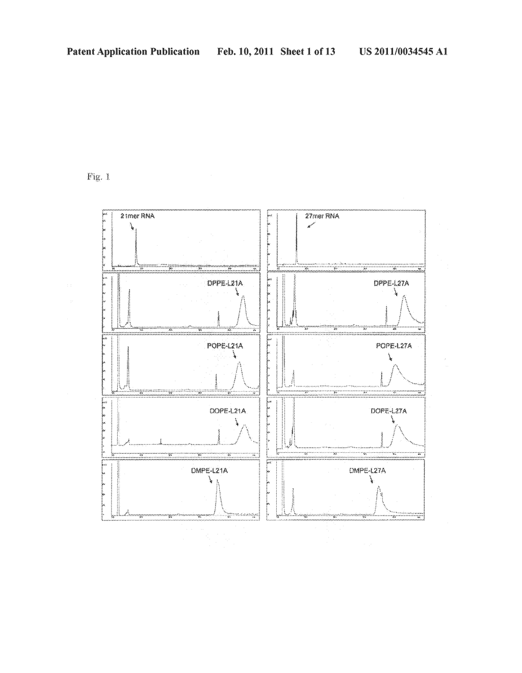 DOUBLE-STRANDED LIPID-MODIFIED RNA HAVING HIGH RNA INTERFERENCE EFFECT - diagram, schematic, and image 02