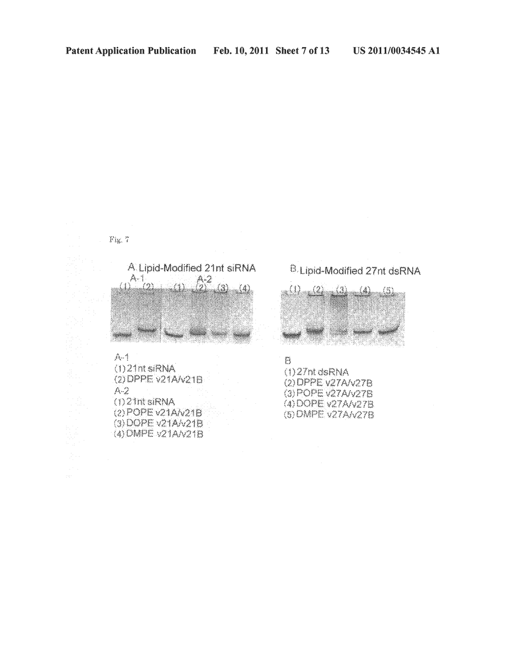 DOUBLE-STRANDED LIPID-MODIFIED RNA HAVING HIGH RNA INTERFERENCE EFFECT - diagram, schematic, and image 08