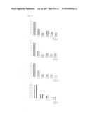 DOUBLE-STRANDED LIPID-MODIFIED RNA HAVING HIGH RNA INTERFERENCE EFFECT diagram and image