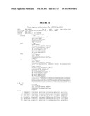 METHODS TO PRODUCE ROD-DERIVED CONE VIABILITY FACTOR (RDCVF) diagram and image