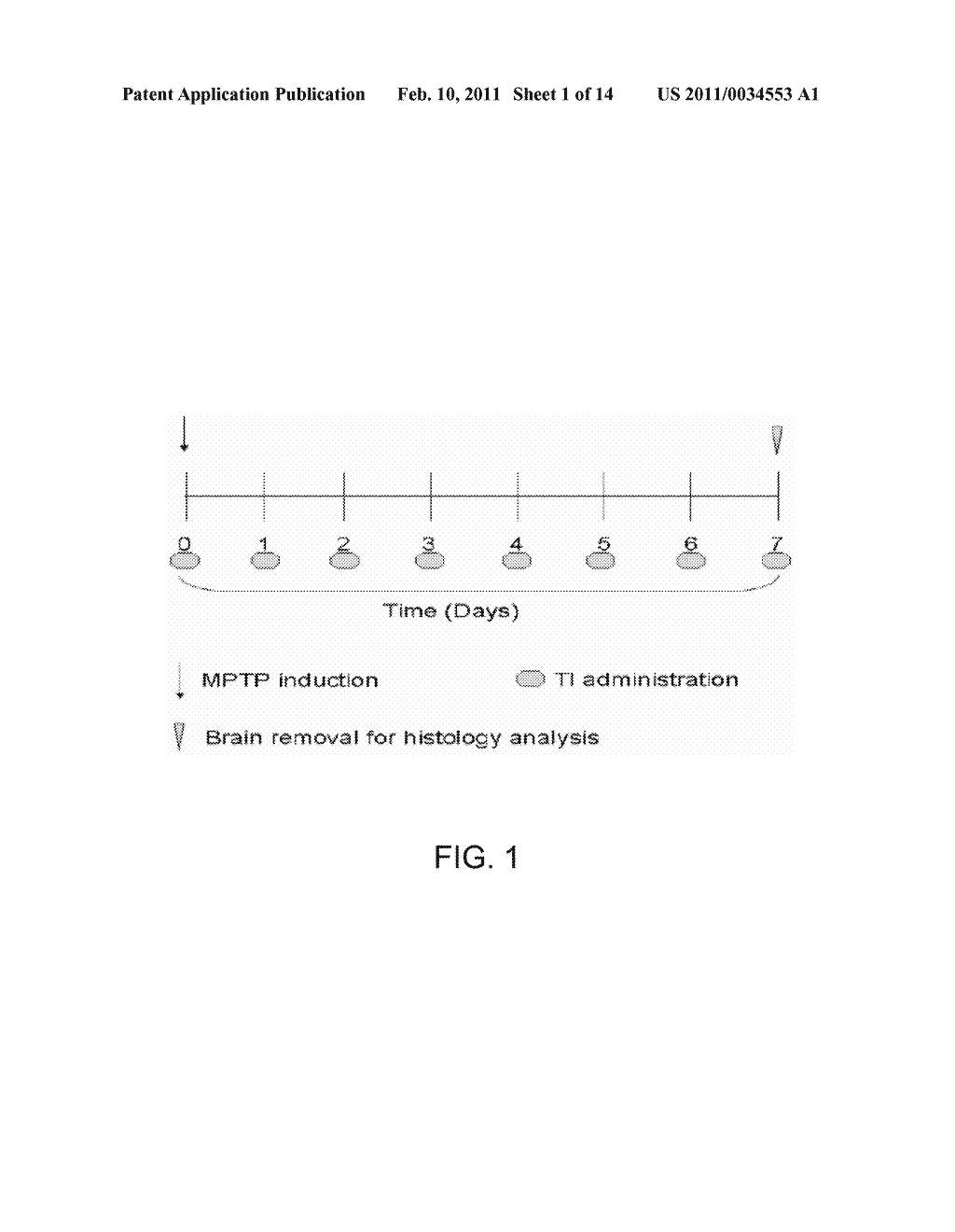 NOVEL CONJUGATES FOR TREATING NEURODEGENERATIVE DISEASES AND DISORDERS - diagram, schematic, and image 02