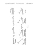 COMPOSITIONS AND METHODS FOR TREATING MACULAR DEGENERATION diagram and image