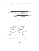 Systems for Expression of Heterologous Proteins in M. Capsulatus diagram and image