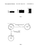 Systems for Expression of Heterologous Proteins in M. Capsulatus diagram and image