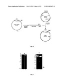 Systems for Expression of Heterologous Proteins in M. Capsulatus diagram and image