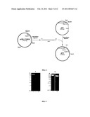 Systems for Expression of Heterologous Proteins in M. Capsulatus diagram and image