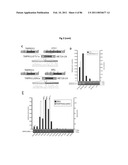 RECURRENT GENE FUSIONS IN PROSTATE CANCER diagram and image