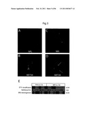 RECURRENT GENE FUSIONS IN PROSTATE CANCER diagram and image