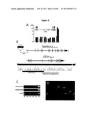 RECURRENT GENE FUSIONS IN PROSTATE CANCER diagram and image