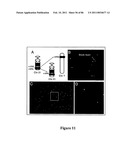 RECURRENT GENE FUSIONS IN PROSTATE CANCER diagram and image