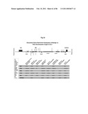 RECURRENT GENE FUSIONS IN PROSTATE CANCER diagram and image