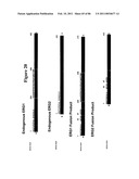 RECURRENT GENE FUSIONS IN PROSTATE CANCER diagram and image