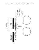 RECURRENT GENE FUSIONS IN PROSTATE CANCER diagram and image