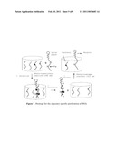 SEQUENCE-SPECIFIC NUCLEIC ACID PURIFICATION METHOD MANNER diagram and image