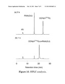 SEQUENCE-SPECIFIC NUCLEIC ACID PURIFICATION METHOD MANNER diagram and image