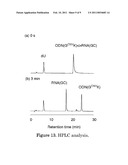 SEQUENCE-SPECIFIC NUCLEIC ACID PURIFICATION METHOD MANNER diagram and image