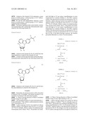 SEQUENCE-SPECIFIC NUCLEIC ACID PURIFICATION METHOD MANNER diagram and image