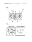 ENDOSCOPIC DEVICE diagram and image