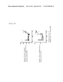 APPARATUS FOR BODY SURFACE STIMULATION TREATMENT, PROGRAM FOR BODY SURFACE STIMULATION TREATMENT, AND COMPUTER-READABLE RECORDING MEDIUM HAVING RECORDED THE SAME diagram and image