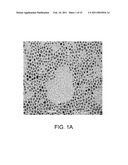 NANOPARTICLE-MEDIATED MICROWAVE TREATMENT METHODS diagram and image