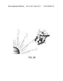 NANOPARTICLE-MEDIATED MICROWAVE TREATMENT METHODS diagram and image