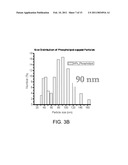 NANOPARTICLE-MEDIATED MICROWAVE TREATMENT METHODS diagram and image