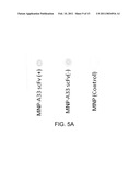 NANOPARTICLE-MEDIATED MICROWAVE TREATMENT METHODS diagram and image