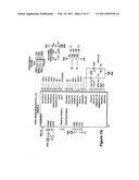 METHOD AND SYSTEM FOR REAL-TIME SIGNAL CLASSIFICATION diagram and image