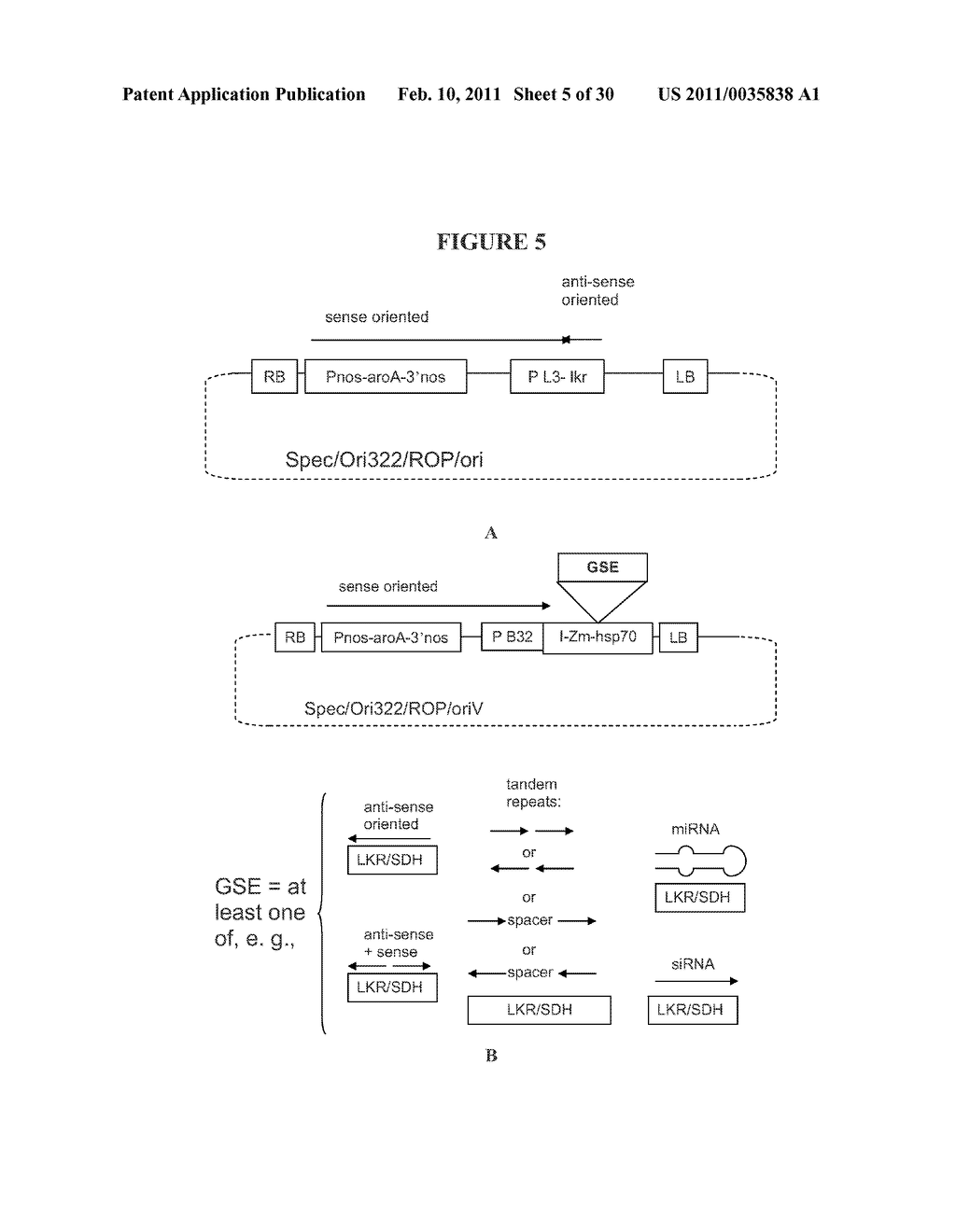 Recombinant DNA Constructs and Methods for Controlling Gene Expression - diagram, schematic, and image 06