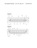 DISPLAY DEVICE AND INPUT DEVICE diagram and image