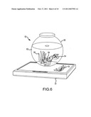 APPARATUS AND METHOD FOR AN ANAMORPHIC PEPPER S GHOST ILLUSION diagram and image