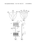 FORMING SPATIAL BEAMS WITHIN A CELL SEGMENT diagram and image