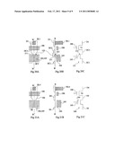 HIERARCHIZATION OF CRYTOGRAPHIC KEYS IN AN ELECTRONIC CIRCUIT diagram and image