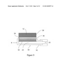 IMMUNOASSAY PRODUCT AND PROCESS diagram and image