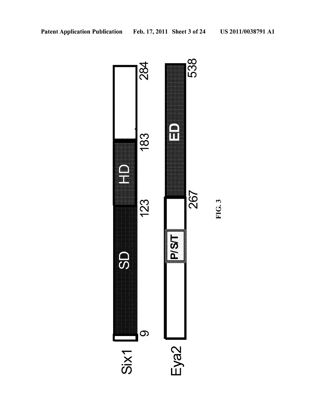 METHODS FOR INHIBITING SIX1 AND EYA PROTEINS - diagram, schematic, and image 04