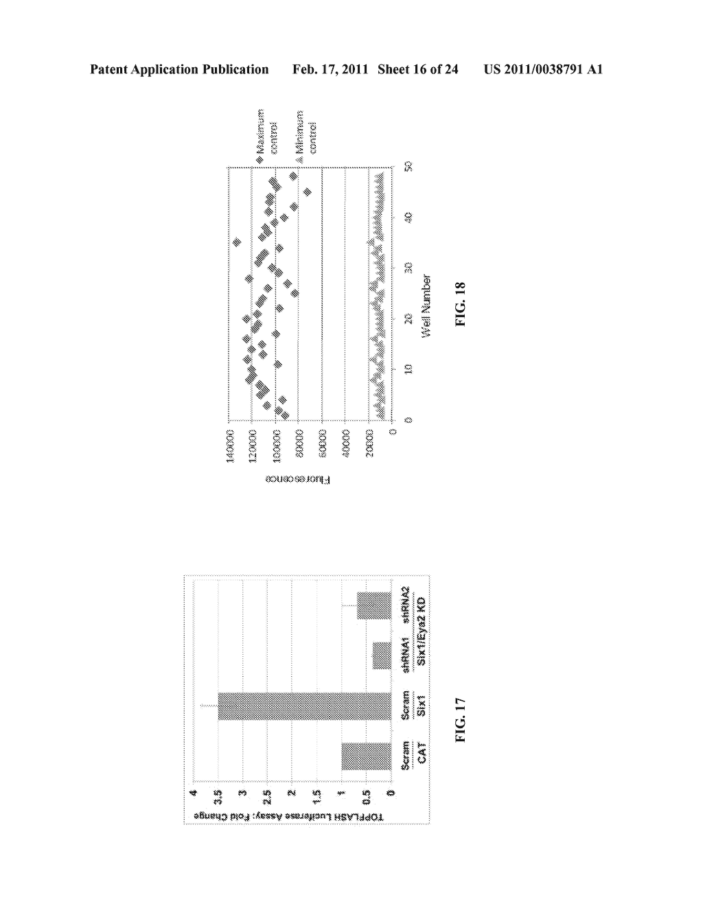 METHODS FOR INHIBITING SIX1 AND EYA PROTEINS - diagram, schematic, and image 17